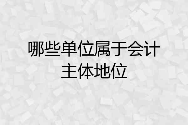 哪些单位属于会计主体地位