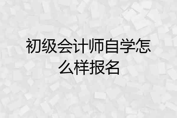 初级会计师自学怎么样报名