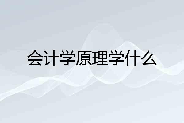 会计学原理学什么