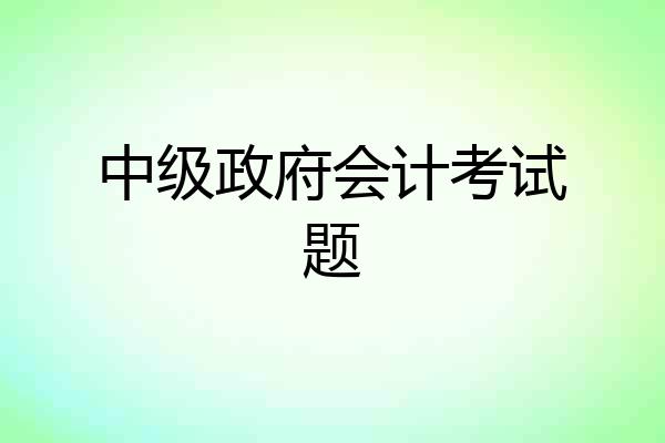 中级政府会计考试题