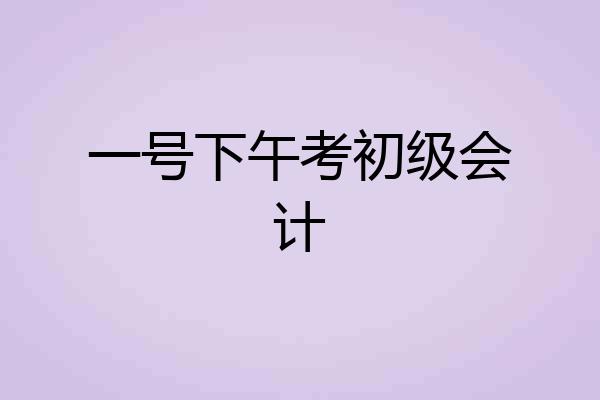 一号下午考初级会计