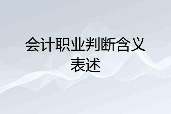 会计职业判断含义表述