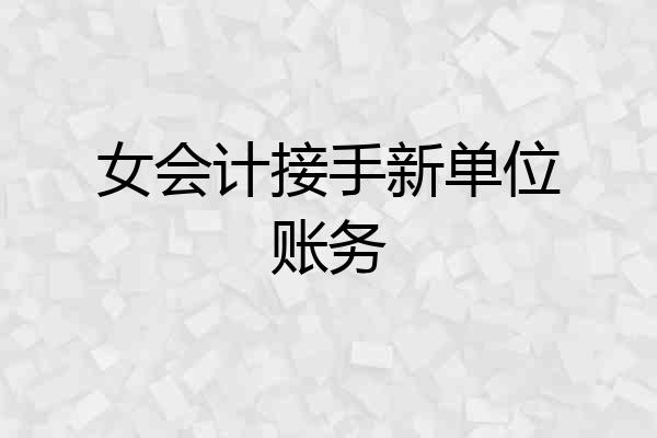 女会计接手新单位账务
