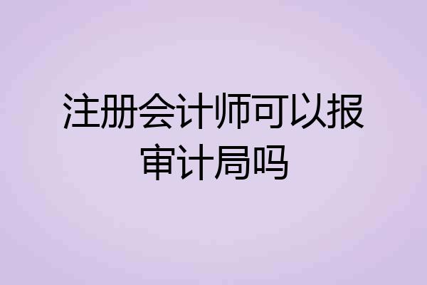 注册会计师可以报审计局吗