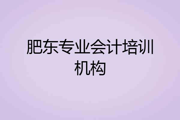 肥东专业会计培训机构