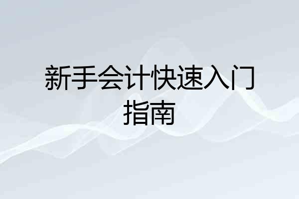 新手会计快速入门指南