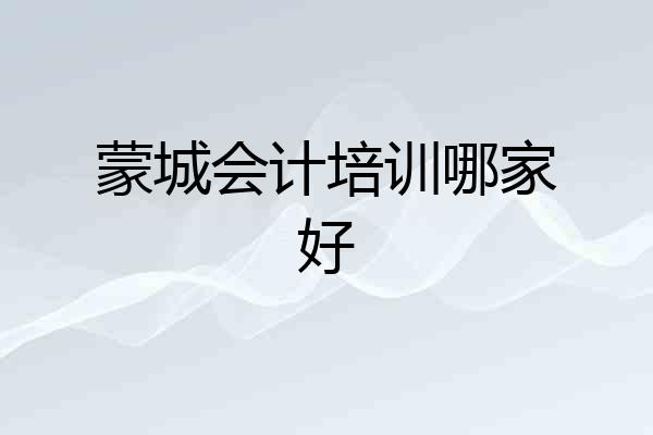 蒙城会计培训哪家好