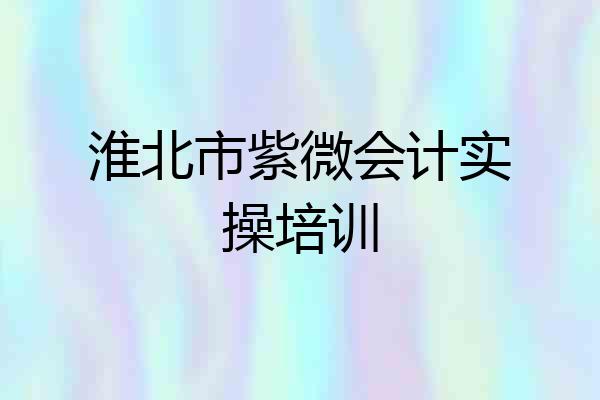 淮北市紫微会计实操培训