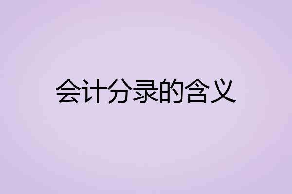 会计分录的含义