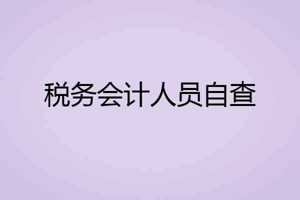 税务会计人员自查