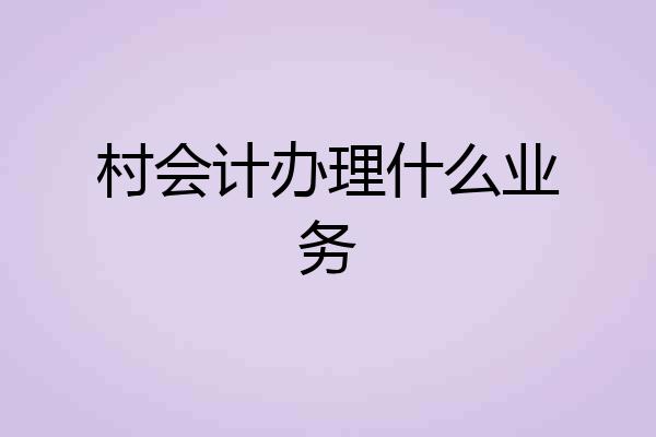 村会计办理什么业务