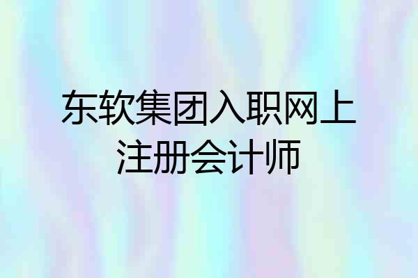 东软集团入职网上注册会计师