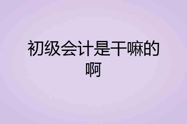 初级会计是干嘛的啊