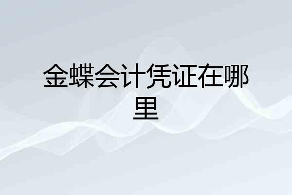 金蝶会计凭证在哪里