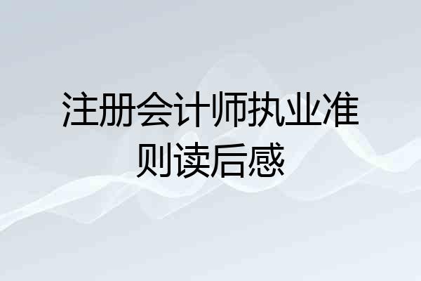 注册会计师执业准则读后感