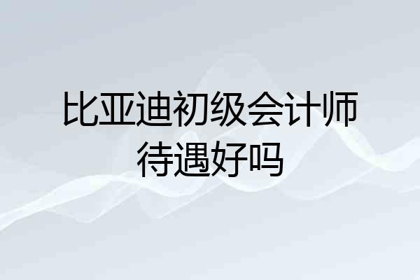 比亚迪初级会计师待遇好吗