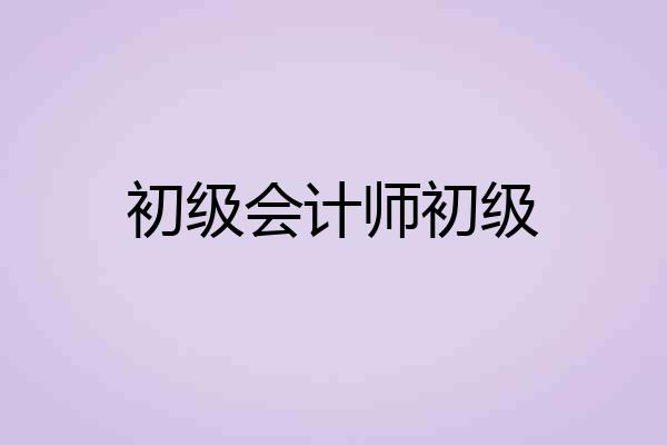 初级会计师初级