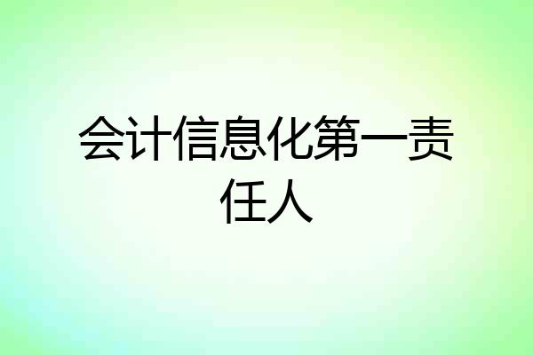 会计信息化第一责任人