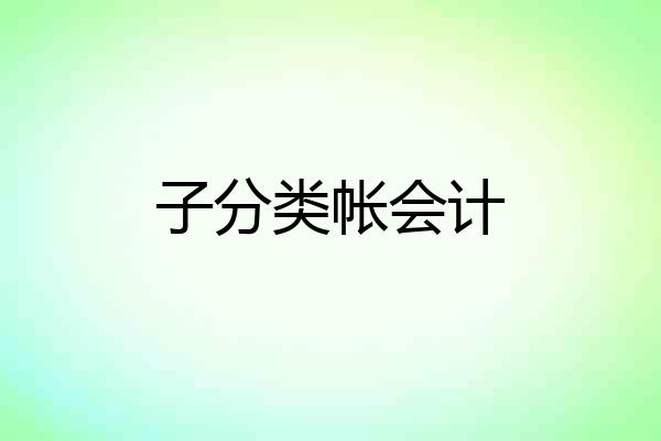 子分类帐会计