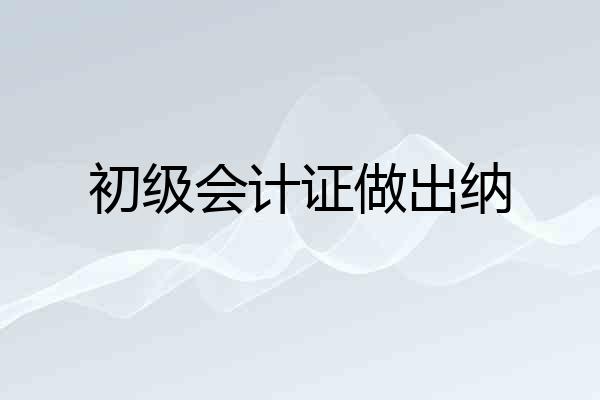 初级会计证做出纳