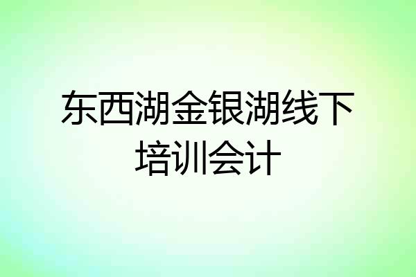 东西湖金银湖线下培训会计