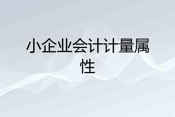 小企业会计计量属性