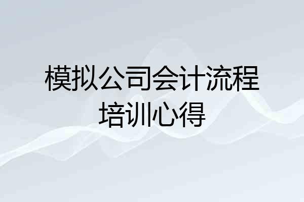 模拟公司会计流程培训心得
