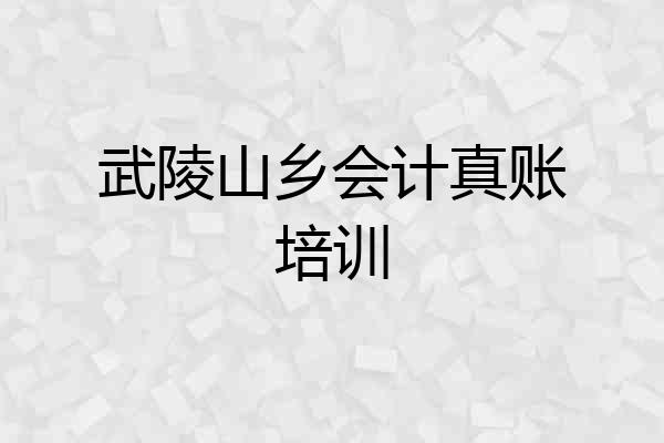 武陵山乡会计真账培训