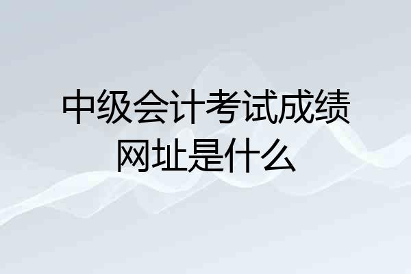 中级会计考试成绩网址是什么