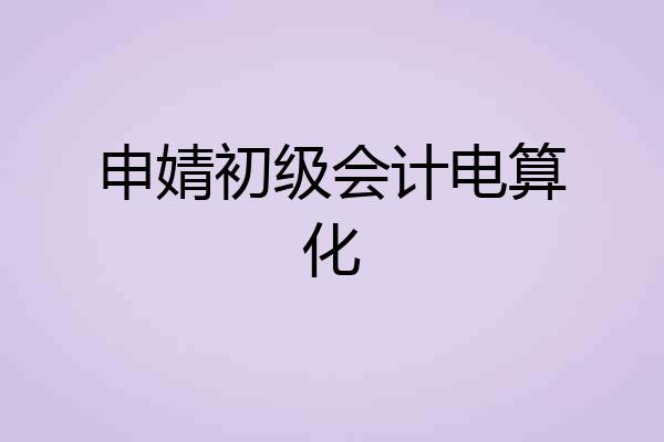 申婧初级会计电算化