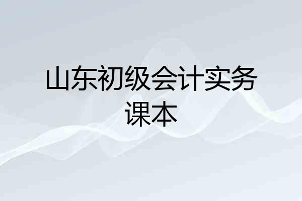 山东初级会计实务课本