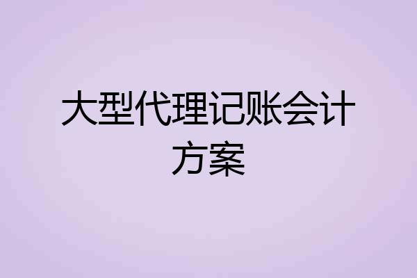 大型代理记账会计方案