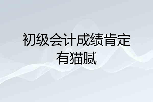 初级会计成绩肯定有猫腻