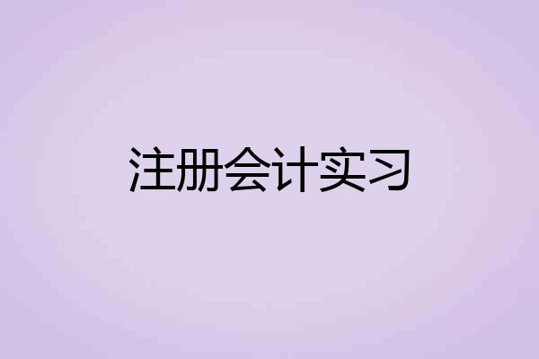 注册会计实习