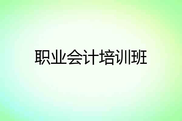 职业会计培训班