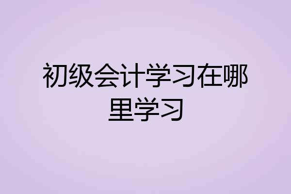 初级会计学习在哪里学习