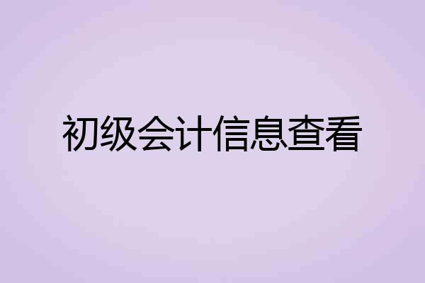 初级会计信息查看