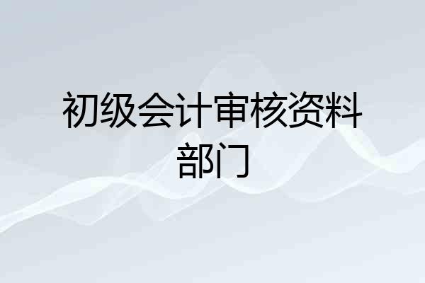 初级会计审核资料部门
