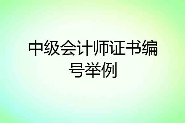 中级会计师证书编号举例
