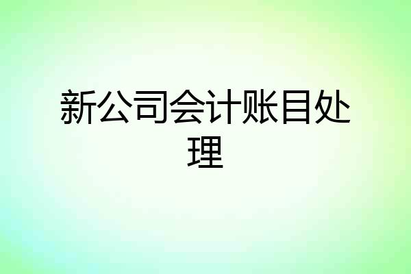 新公司会计账目处理