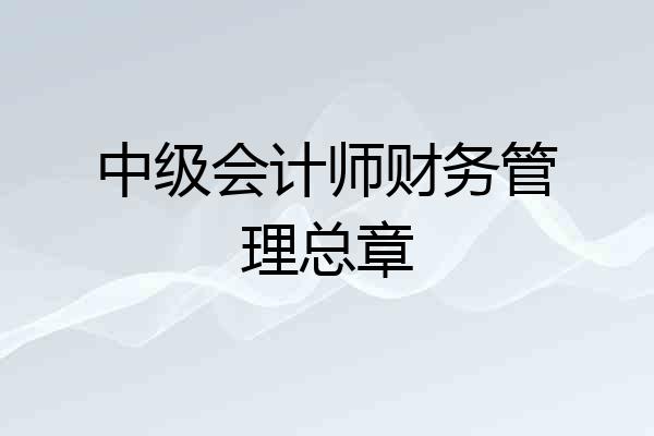 中级会计师财务管理总章