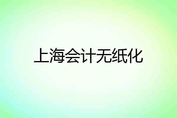 上海会计无纸化
