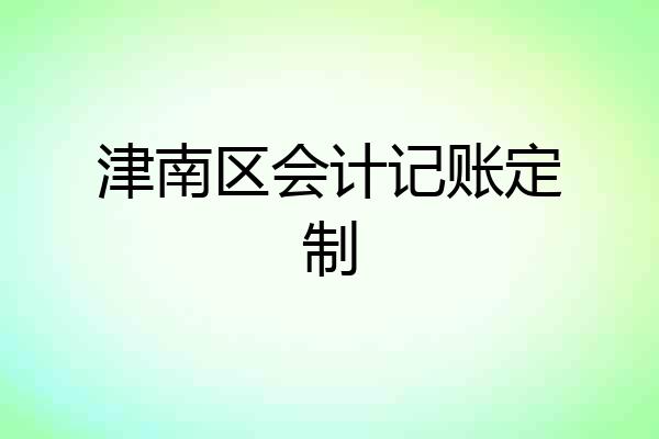 津南区会计记账定制