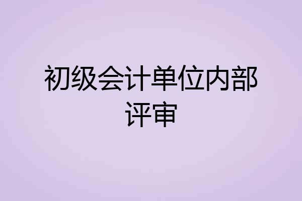 初级会计单位内部评审