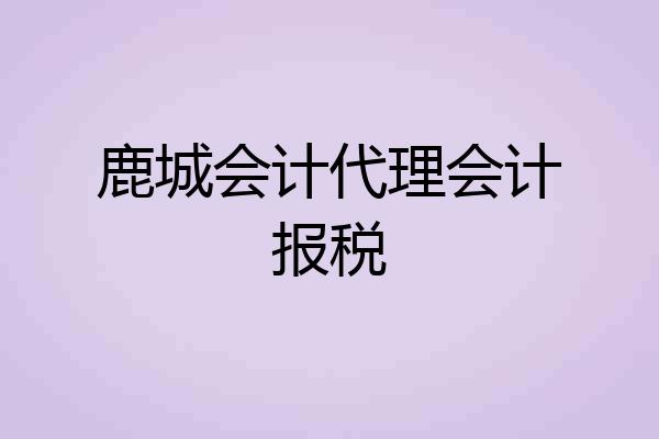 鹿城会计代理会计报税