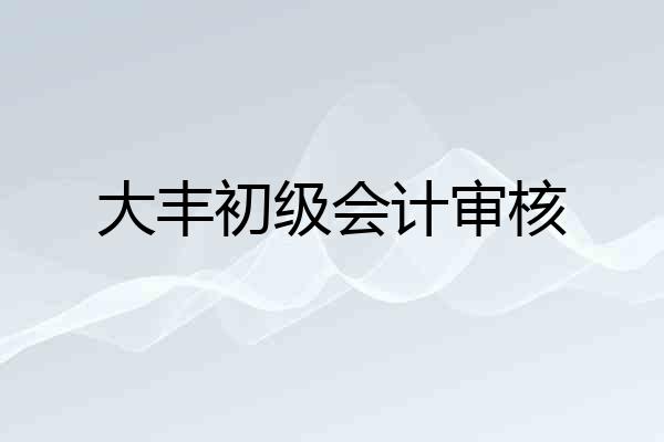 大丰初级会计审核