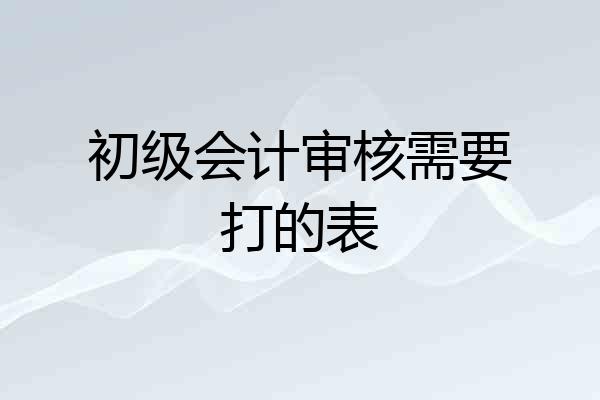 初级会计审核需要打的表