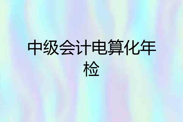 中级会计电算化年检