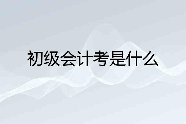 初级会计考是什么