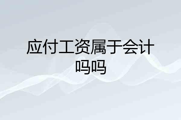 应付工资属于会计吗吗